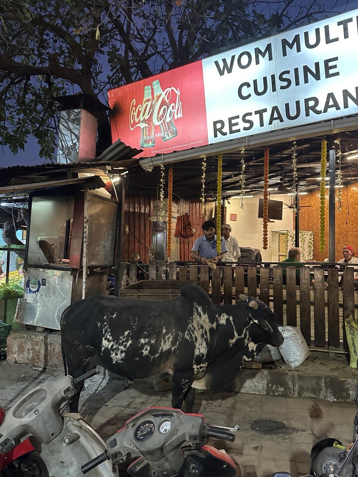 レストラン前の牛
