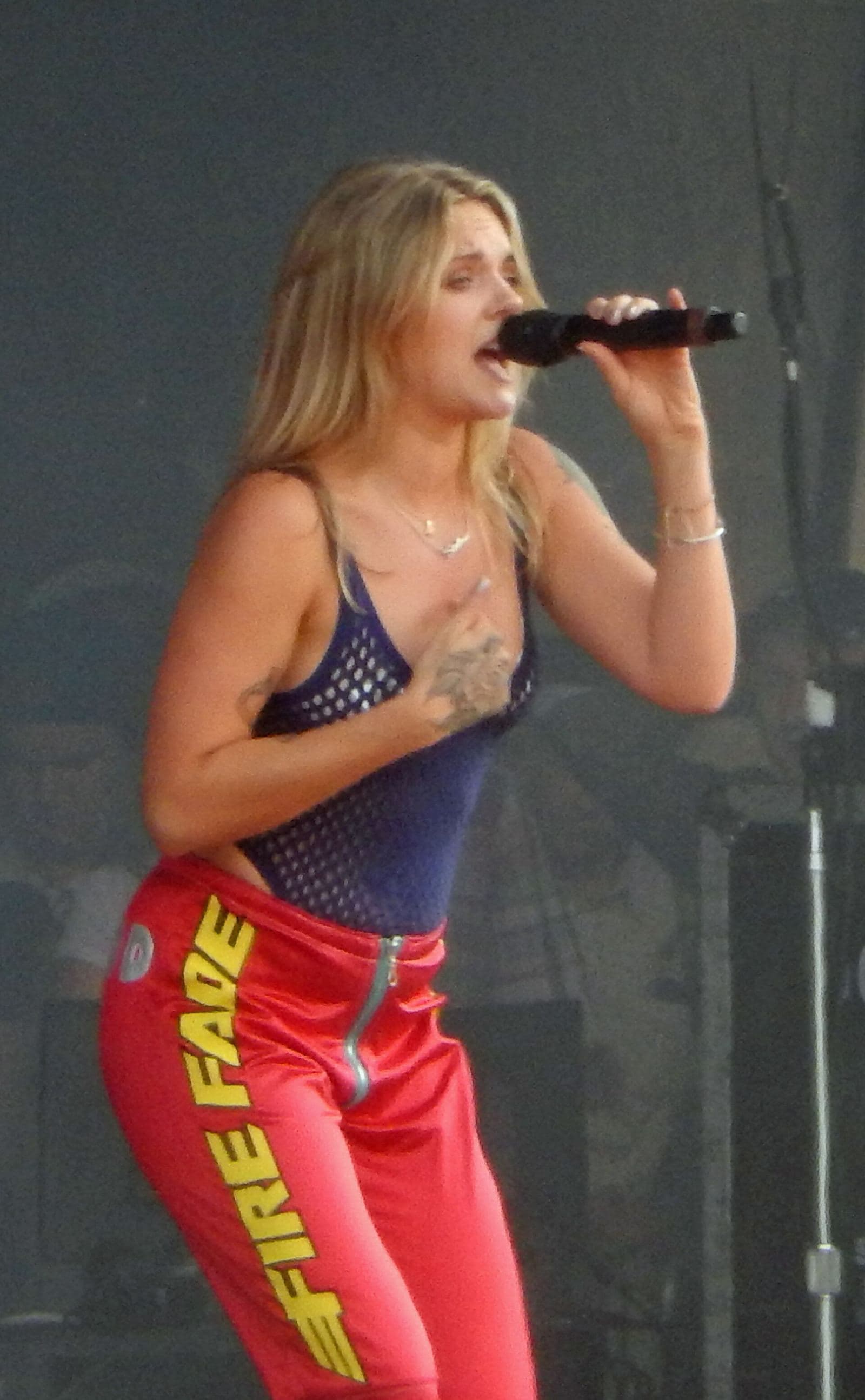 Lollapalooza Chicago(アメリカ)の会場写真